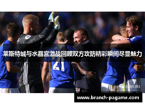 莱斯特城与水晶宫激战回顾双方攻防精彩瞬间尽显魅力
