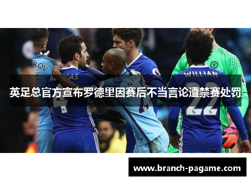 英足总官方宣布罗德里因赛后不当言论遭禁赛处罚